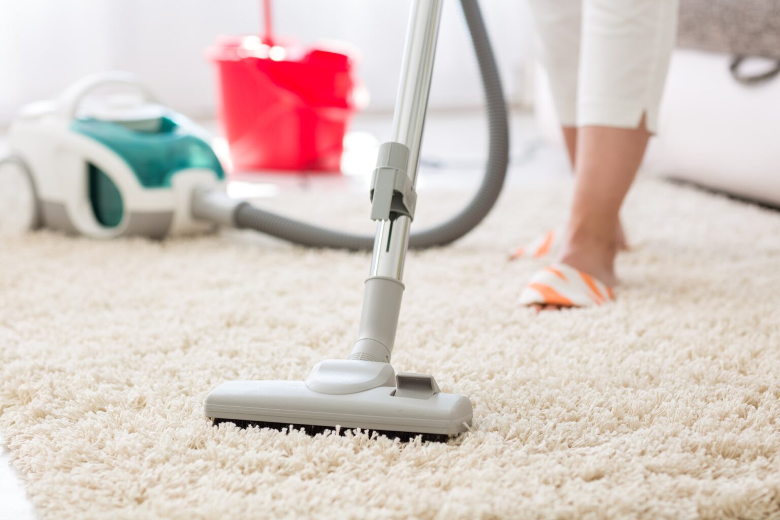 Carpet Cleaning 101: Understanding the Basics of Professional Cleaning Services